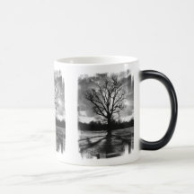 Barren Branches Tree Coffee Mugs