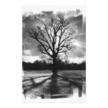 Barren Branches Tree Custom Stationery