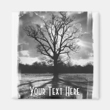 Barren Branches Tree Fridge Magnet