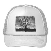 Barren Branches Tree Hat