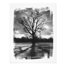 Barren Branches Tree Personalized Invitations