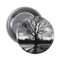 Barren Branches Tree Pinback Button