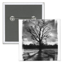 Barren Branches Tree Pins