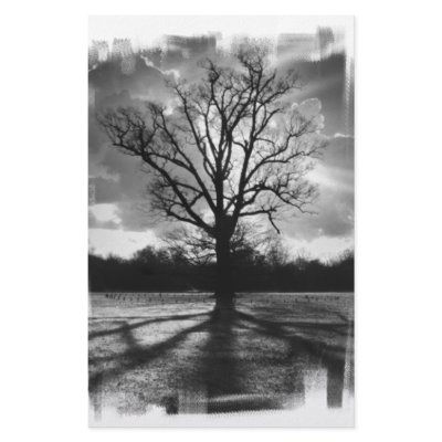 Barren Branches Tree Custom Stationery by VoXeeD