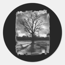 Barren Branches Tree Stickers