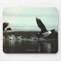 Barrow's Gold-en-eye #02 Mousepad