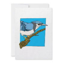 Bart Blue Jay Announcements
