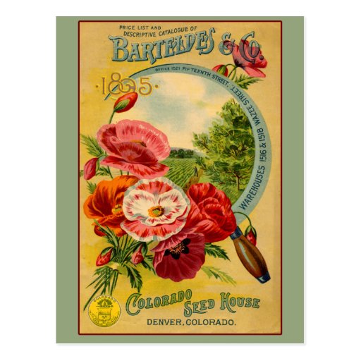 Barteldes Colorado Seed Company Art Cards Postcards