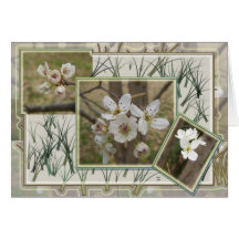 Bartlett Pear Card