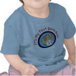 Baseball and Glove 1st Birthday Tshirts and Gifts
