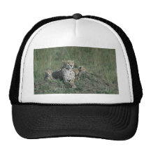 Baseball Cap - Wildlife Trucker Hats