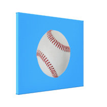 Baseball Fan-tastic_Pitch Perfect