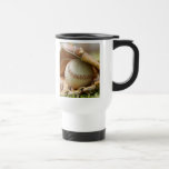 Baseball Glove and Ball Mugs