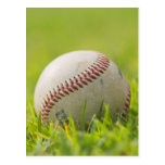 Baseball Post Card