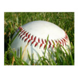 Baseball postcard