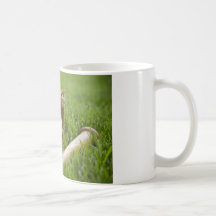 BASEBALL SEASON COFFEE MUGS