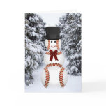 Baseball Snowman Greeting Cards