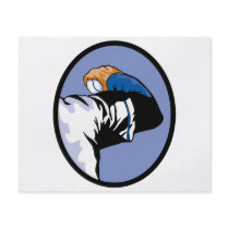 baseball throw pitcher  vector illustration flyer design