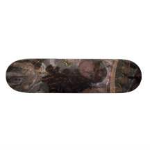 Bashful Bride Skate Board Deck