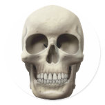 Basic Skull Sticker