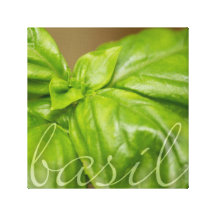 Basil decorative canvas stretched canvas prints