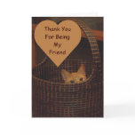 Basket Case Cat Friendship Cards