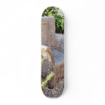 Basket Chair Furniture Skate Deck