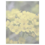 Basket Of Gold Alyssum Customized Letterhead