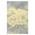 Basket Of Gold Alyssum Custom Stationery