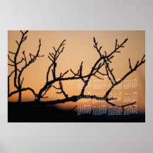 Basket of Sunset; 2013 Calendar Posters