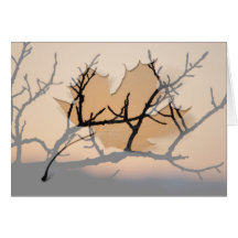 Basket of Sunset; Customizable Greeting Cards