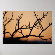 Basket of Sunset Print