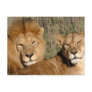 Basking in the Sun - Postcard
