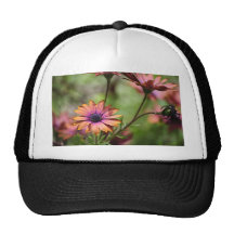 Basking In The Sun Trucker Hats