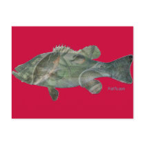 Bass feeding inside the bass-Great Mural effect