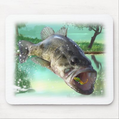 bass fish green by bigfishead