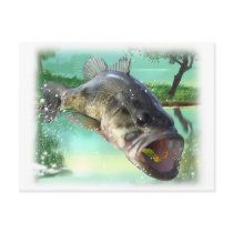 bass fish green