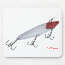 Bass fishing lure. Topwater lure