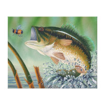 bass, fishing stretched canvas print