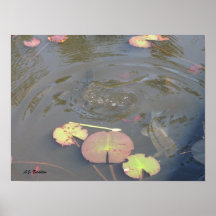 Bass in Pond Poster