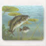 Bass Mousepad