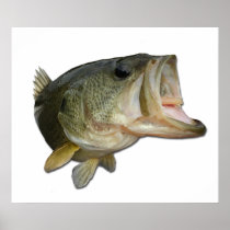 Bass Photo Print