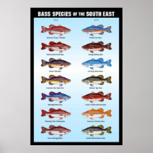 Bass Species of the South East Print