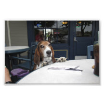 Basset Dinner Photo Art