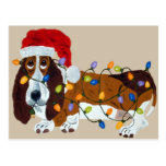 Basset embrouillé dans des lumières de Noël Cartes Postales