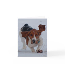 Basset Fast