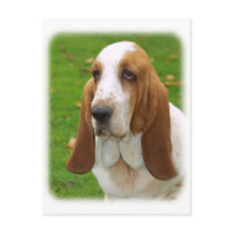 Basset Hound 8K92D-07_2 Post Card