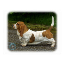 Basset Hound 9R037D-46 Carte Postale