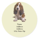 Basset Hound Address Label stickers