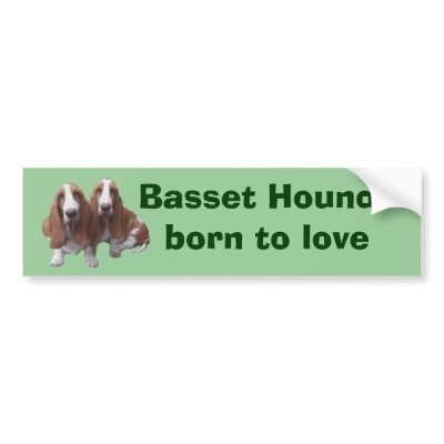 Basset Hound Buddies Bumper Sticker by normagolden